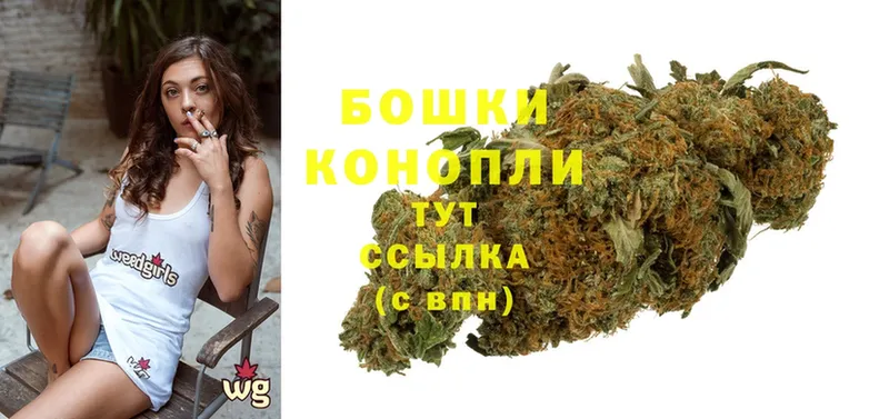 наркота  Советск  Марихуана THC 21% 